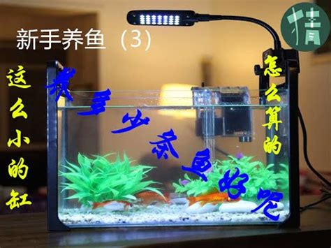 魚缸養魚數量計算 微信小人頭